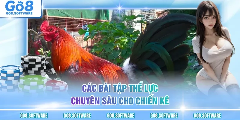 Các bài tập thể lực chuyên sâu cho chiến kê
