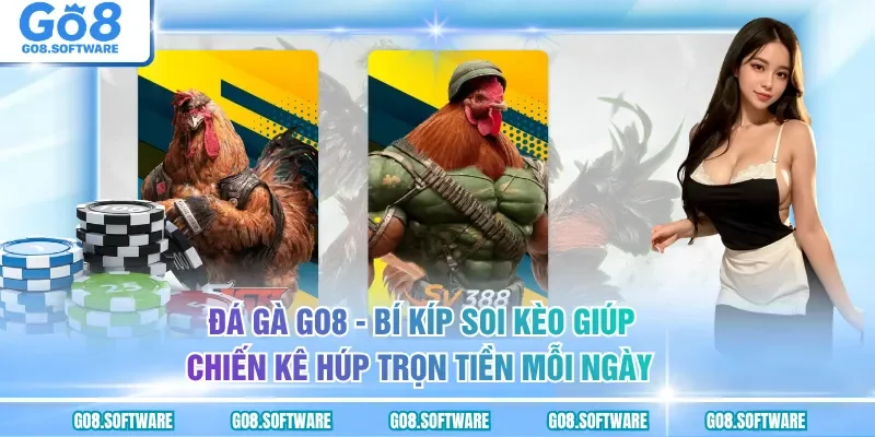 Đá Gà GO8 - Tuyệt Chiêu Đặt Cược Luôn Thắng Lớn Từ Cao Thủ
