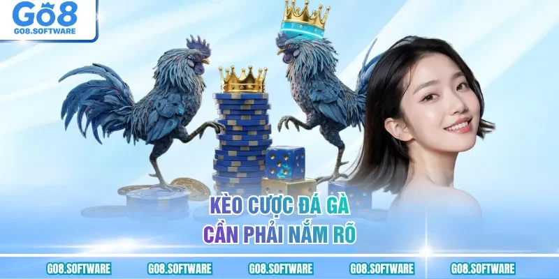 Kèo cược đá gà cần phải nắm rõ