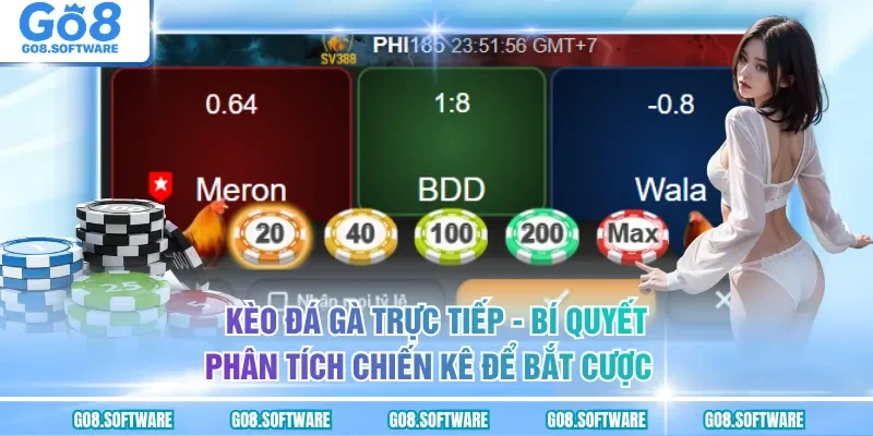 Kèo Đá Gà Trực Tiếp - Cập Nhật Tỷ Lệ Đặt Cược Nhanh Chóng Nhất