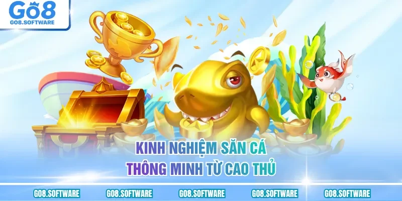 Kinh nghiệm săn cá thông minh từ cao thủ