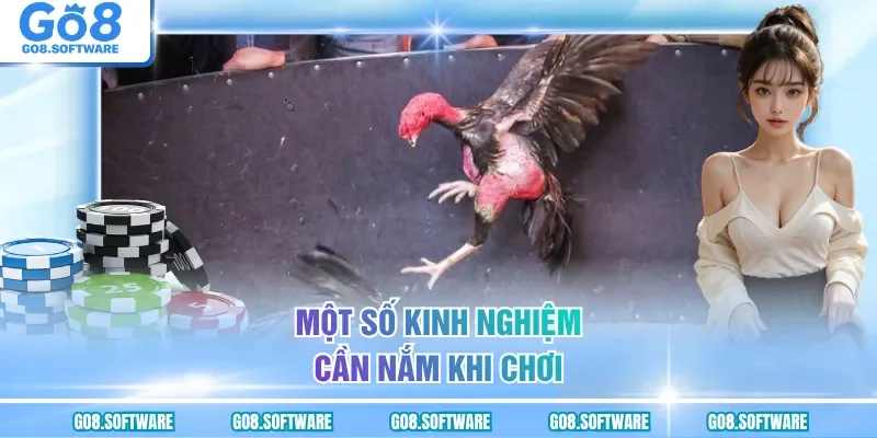Một số kinh nghiệm cần nắm khi chơi