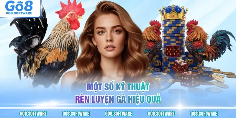 Một số kỹ thuật rèn luyện gà hiệu quả
