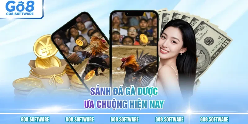 Sảnh đá gà được ưa chuộng hiện nay