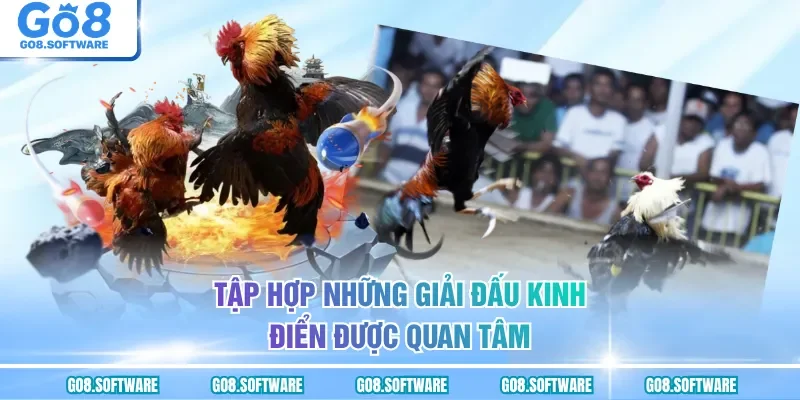 Tập hợp những giải đấu kinh điển được quan tâm